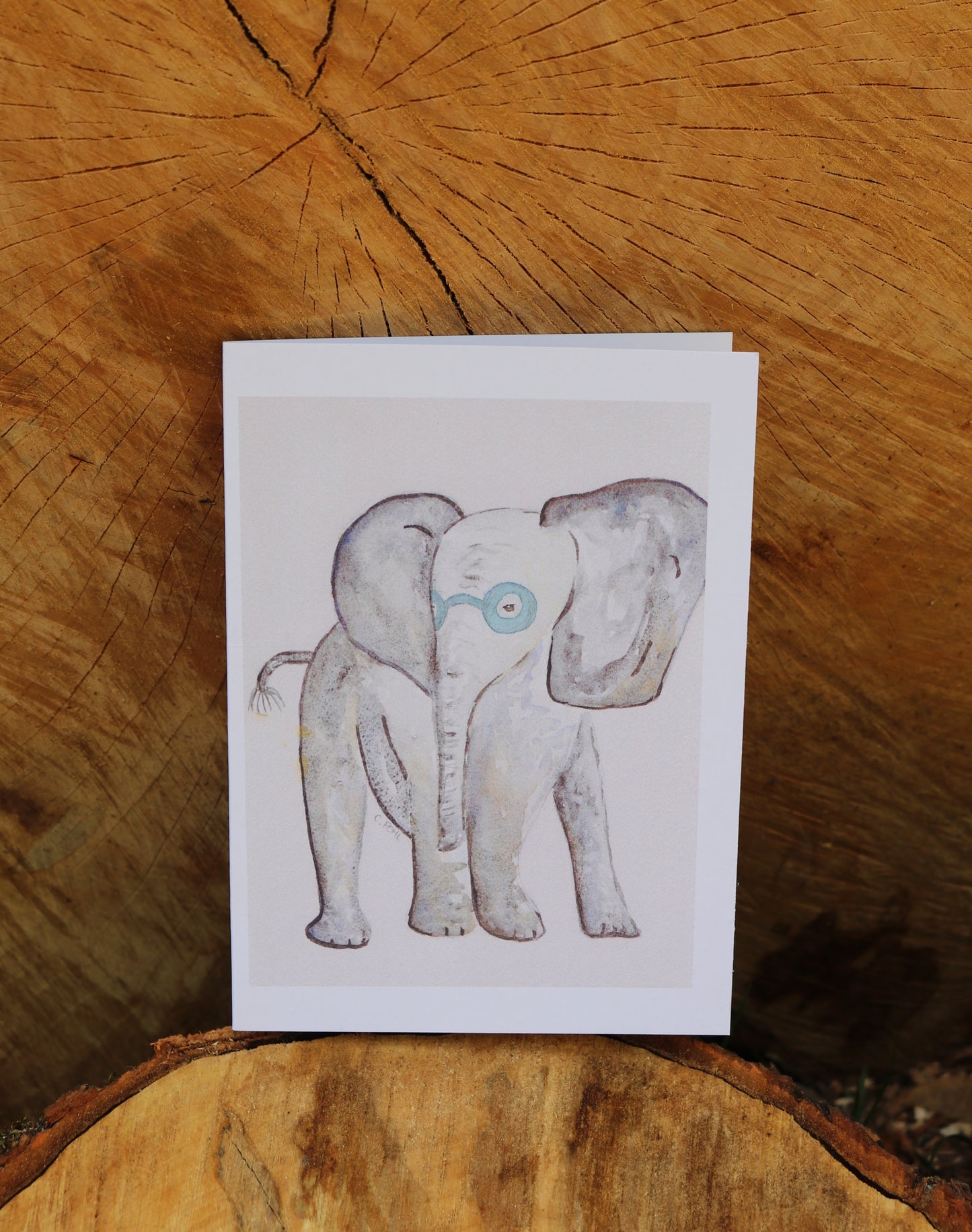 Animals with Glasses - Notecards
