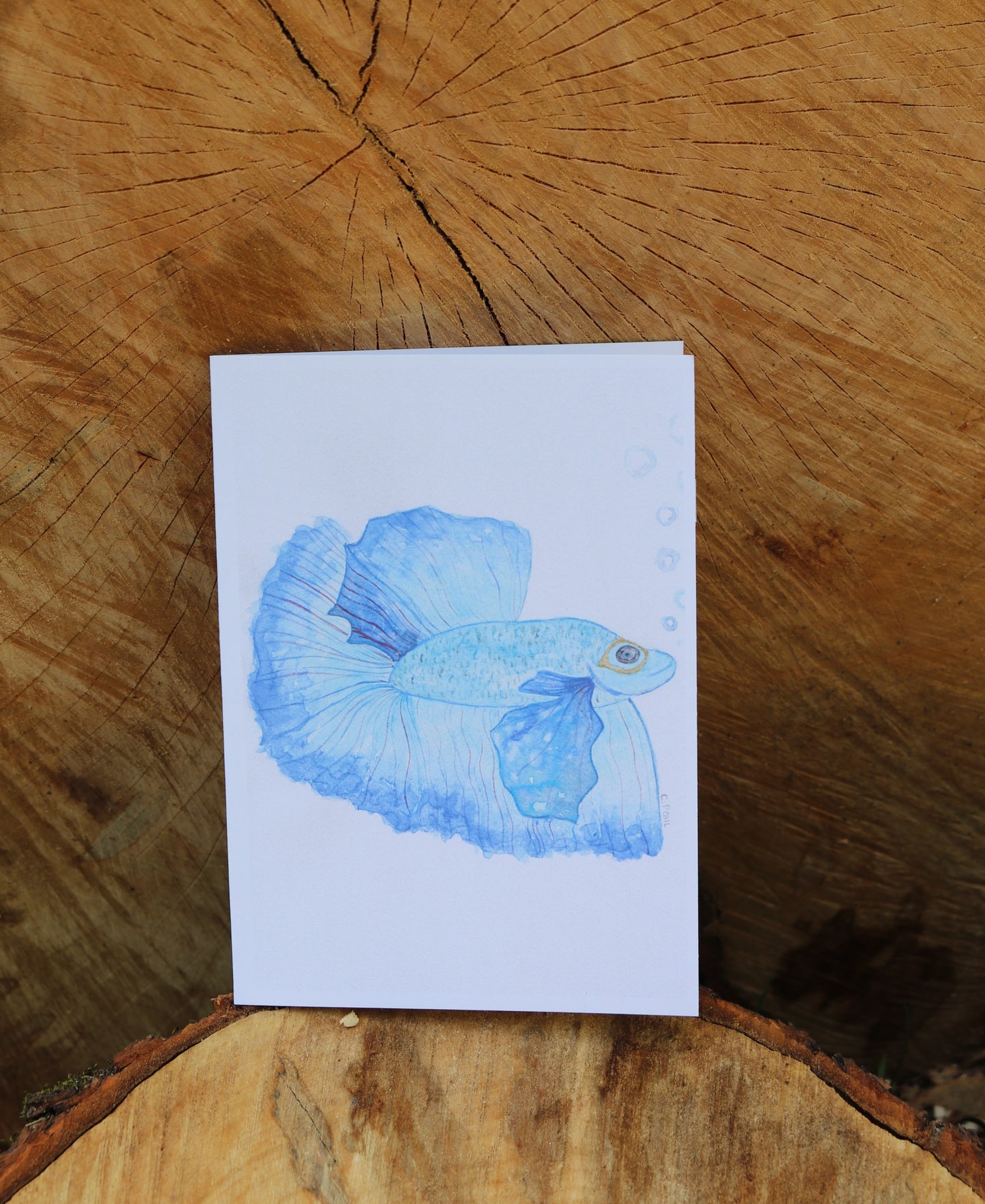 Animals with Glasses - Notecards