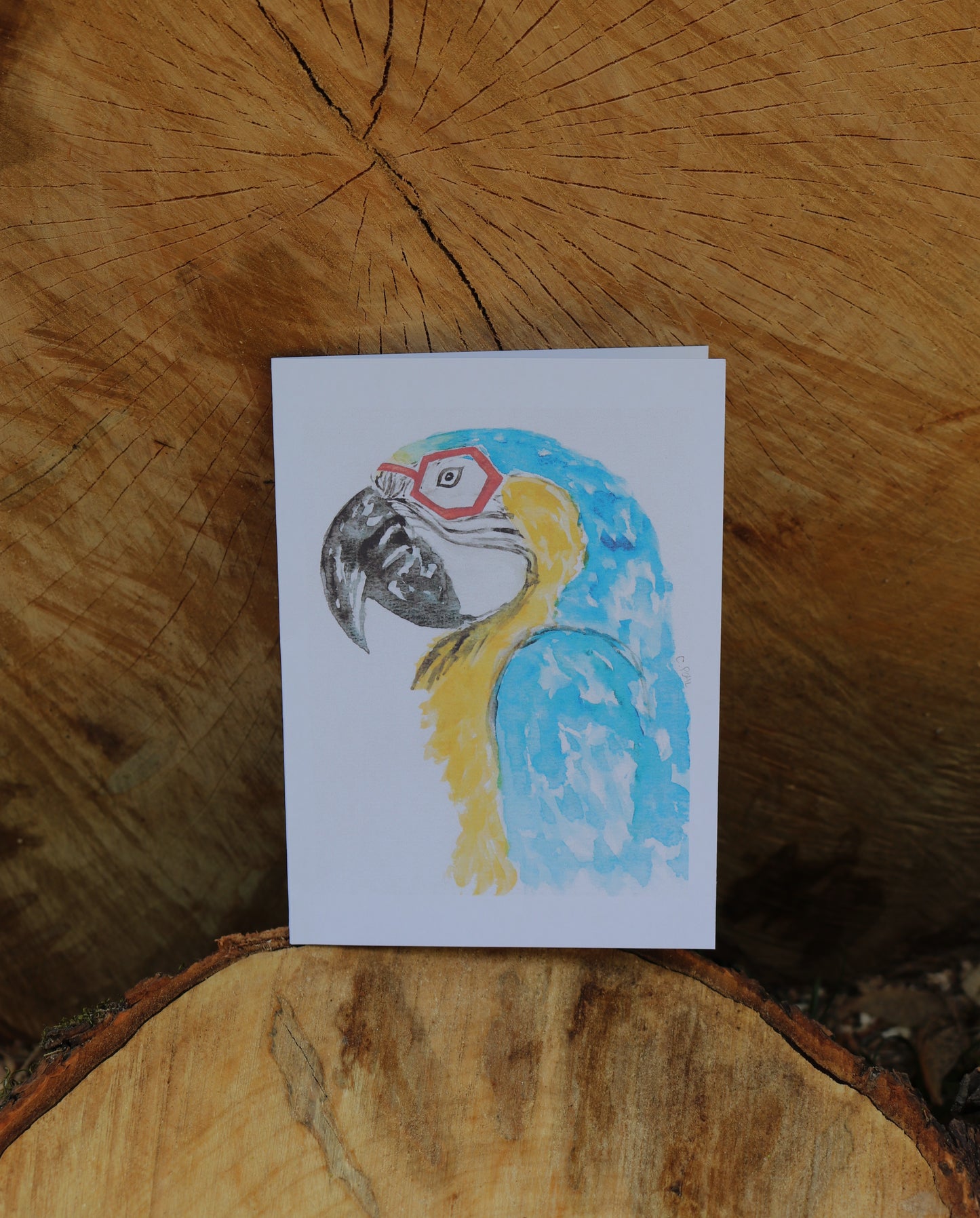 Animals with Glasses - Notecards