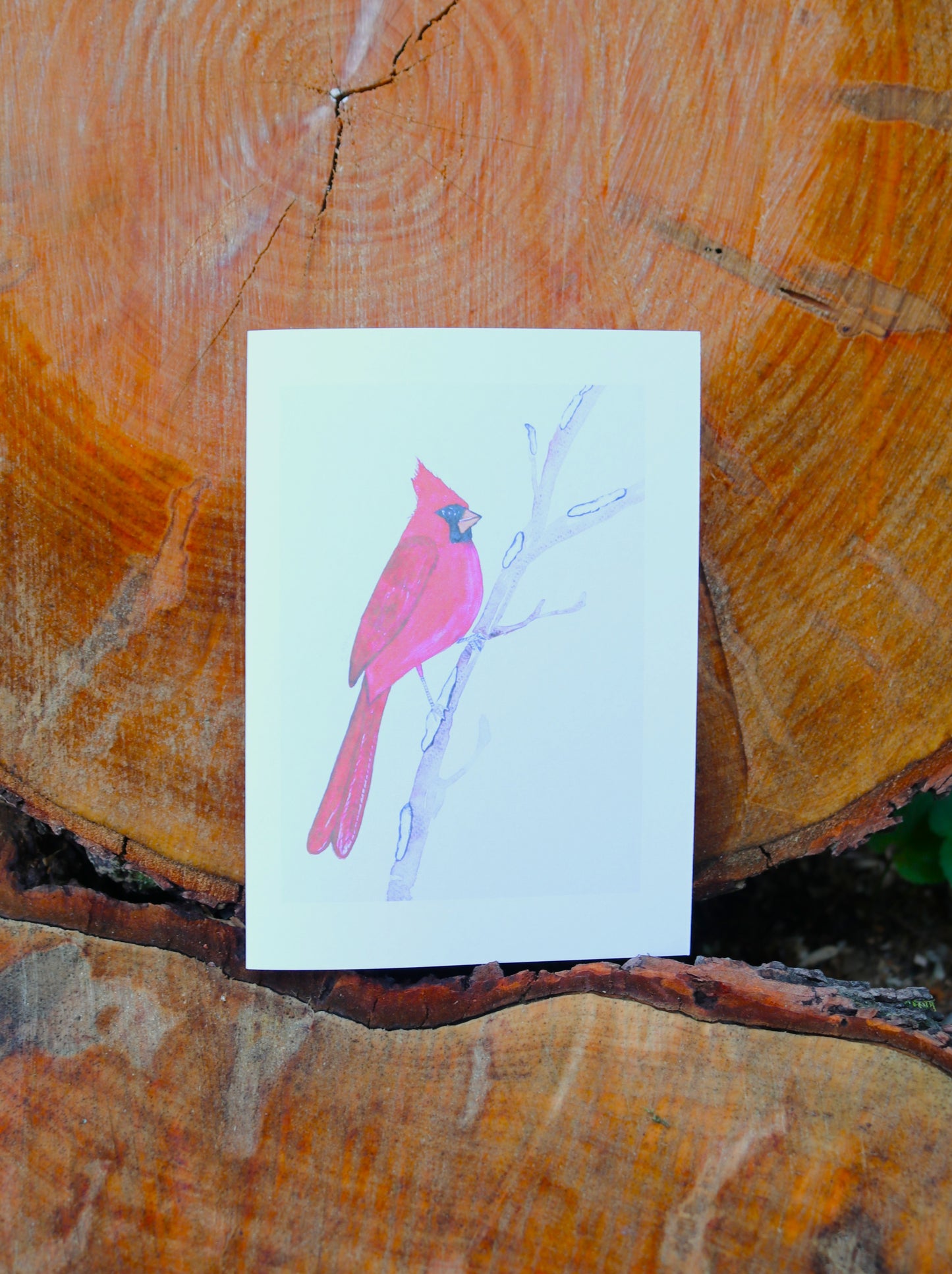 Bird Notecards