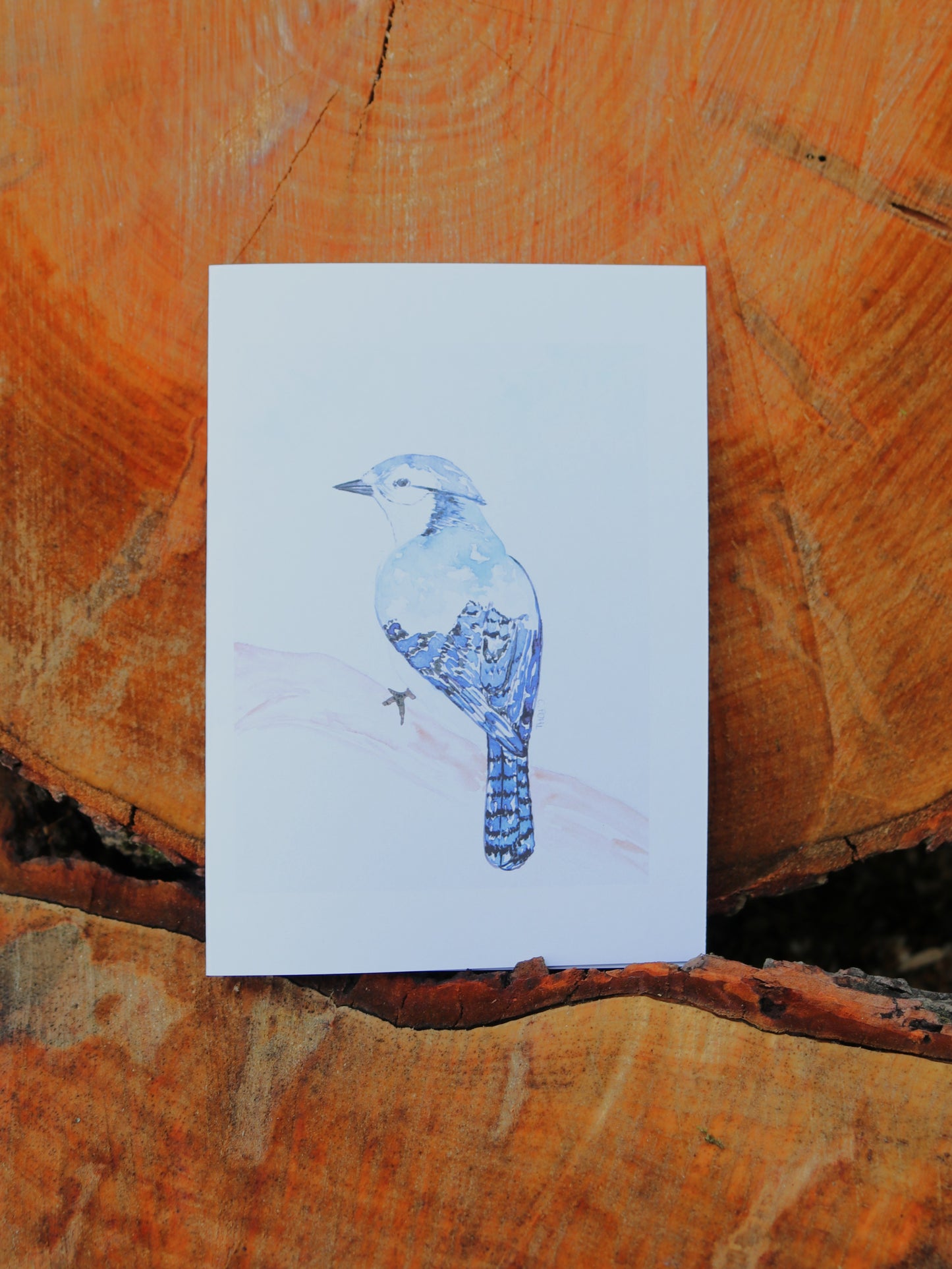 Bird Notecards