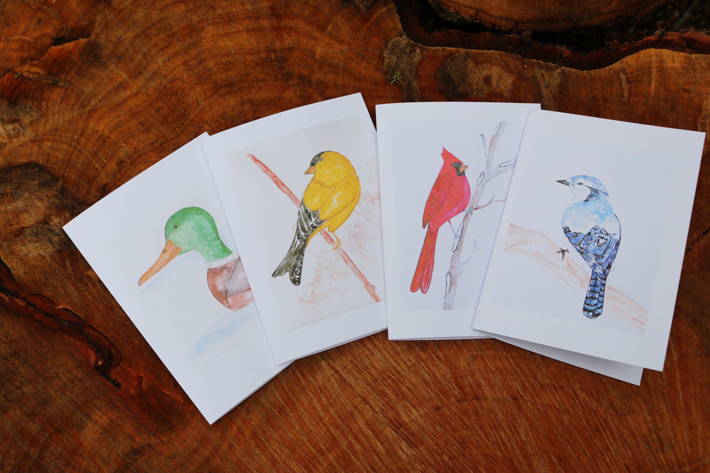 Bird Notecards